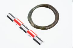 Foto von Bronzering (NHMW-PRAE-025607)